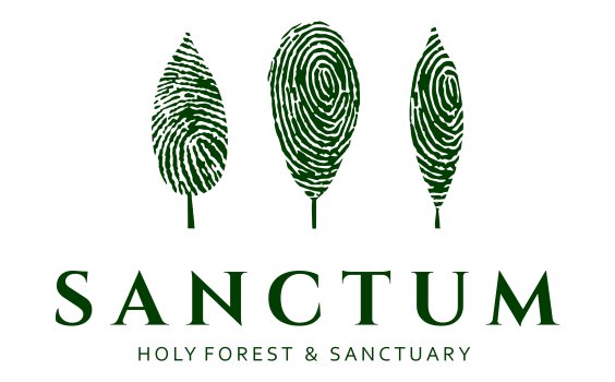 Logo Santum verde transparente